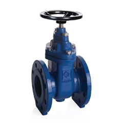 Picture of Gate Valve